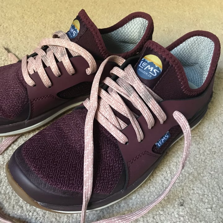 review photo of Lems shoes mesa shared by @taromeet on 10 Oct 2022 - review