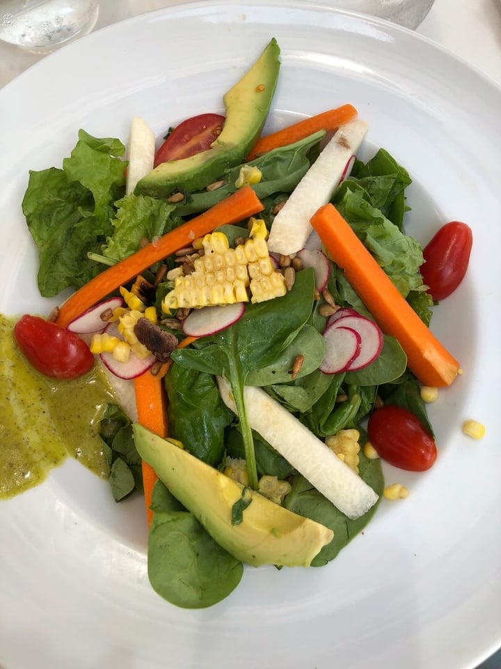 review photo of El Alma Ensalada shared by @nikki on 09 Jul 2019 - review