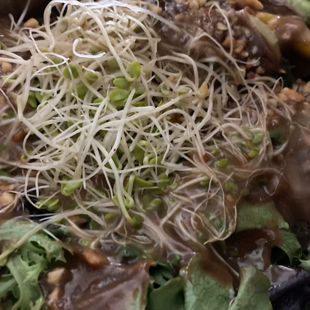 Photo of the dish “buddha bowl”
