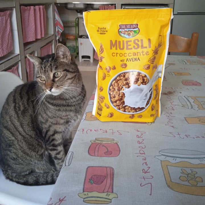 review photo of Tre Mulini Muesli croccante all’avena shared by @juliaraffellini on 21 Sep 2022 - review