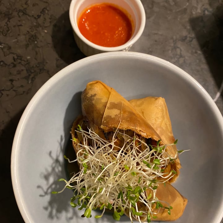 photo of Real Food Spring rolls shared by @rushitshah08 on  06 Sep 2021 - review