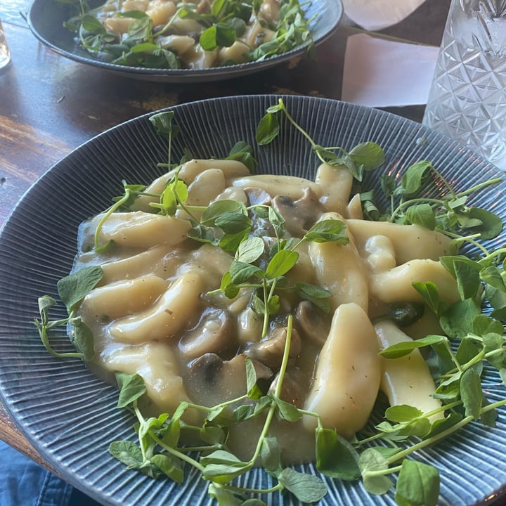 photo of BioCafe Polish Gnocchi shared by @bekahfromearth on  16 Sep 2022 - review