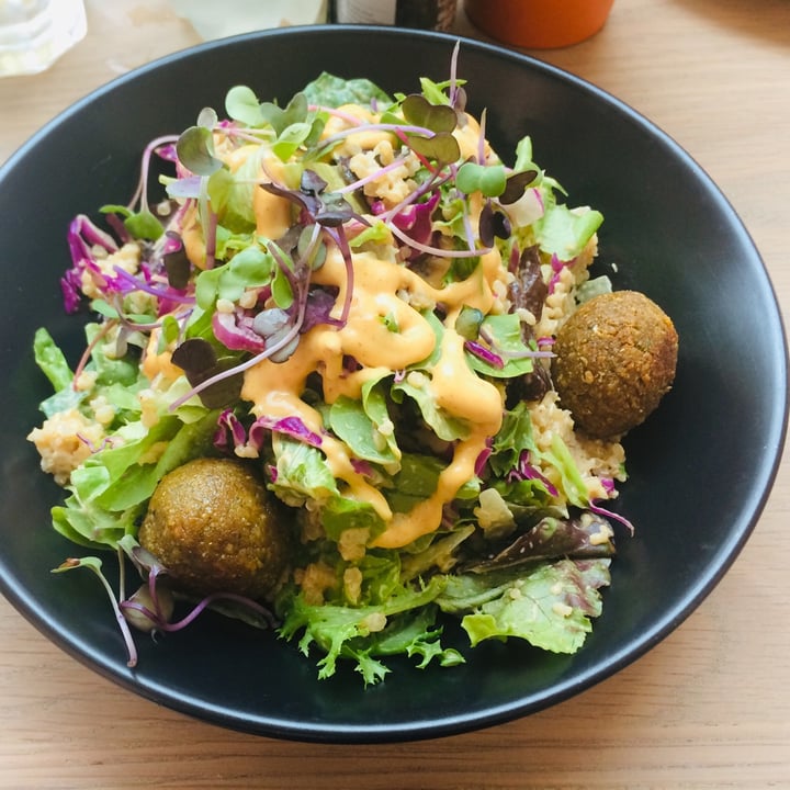 photo of Sweetbeet Falafel of dreams - salad shared by @nikki-c on  24 Jan 2022 - review