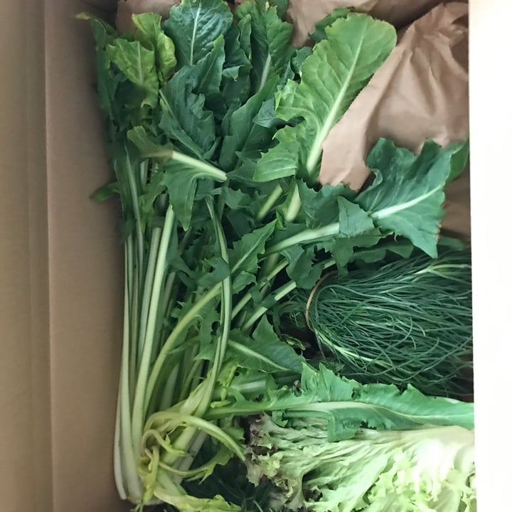 photo of Babaco box Jungle box shared by @roru on  12 Apr 2022 - review
