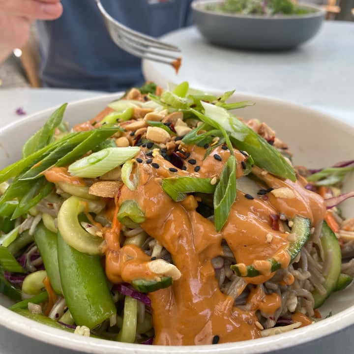 review photo of BASIC KITCHEN Rainbow Bowl (Soba Noodles, Rainbow Vegetables, Thai Peanut Sauce) shared by @radison on 28 Jun 2020 - review
