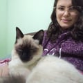 debyribeiro @debyribeiro profile image