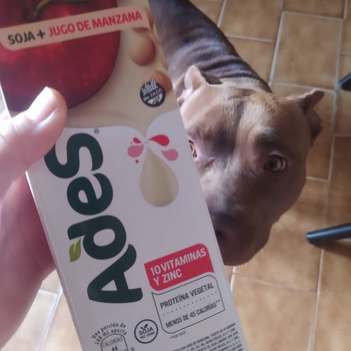 photo of Ades Leche de Soja sabor Manzana shared by @ssofiagustina on  21 Nov 2021 - review