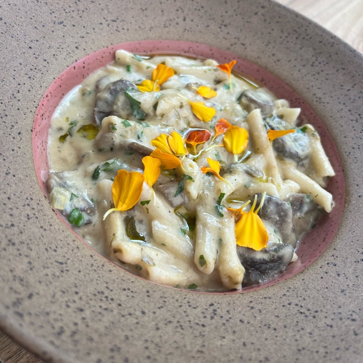review photo of Camelia Ododo Restaurante - Cafe & Bar Organico Penne Ao Molho De Castanhas E Cogumelos shared by @mayumiviolino on 19 Apr 2022 - review