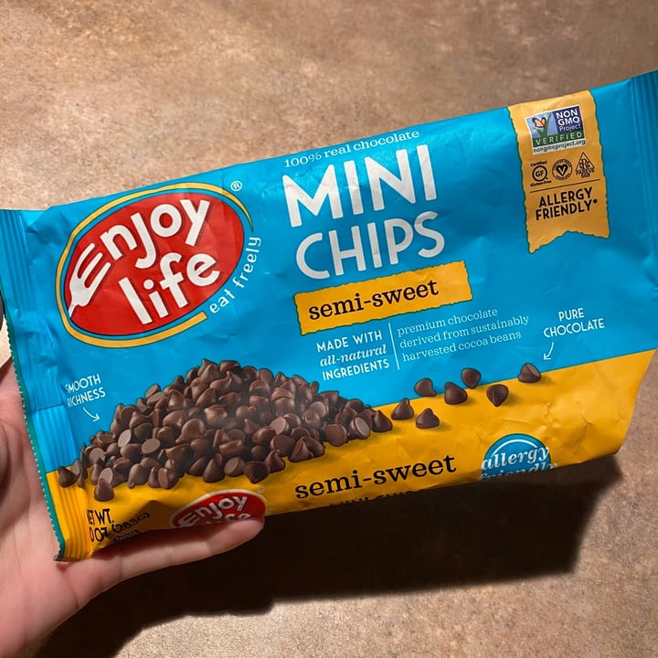 photo of Enjoy Life Semi-Sweet Chocolate Mini Chips shared by @curvycarbivore on  30 Nov 2020 - review