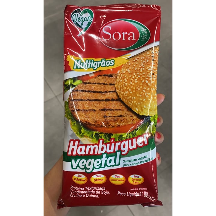photo of Carne de hambúrguer vegetal Hambúrguer vegetal - Sora shared by @biayusuf on  12 May 2022 - review