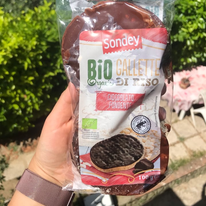 photo of Sondey Bio gallette di riso con cioccolato fondente shared by @vegvale93 on  14 Jul 2022 - review