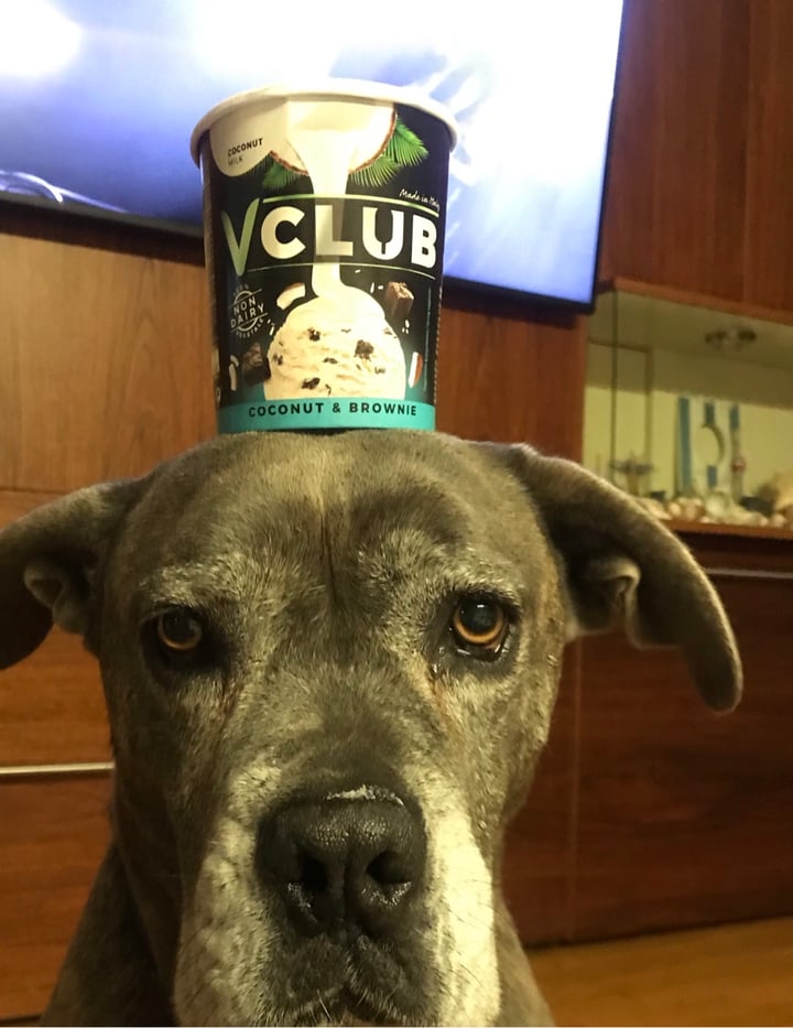 review photo of VClub Coconut & Brownie shared by @carlotaderaoui on 24 Aug 2020 - review