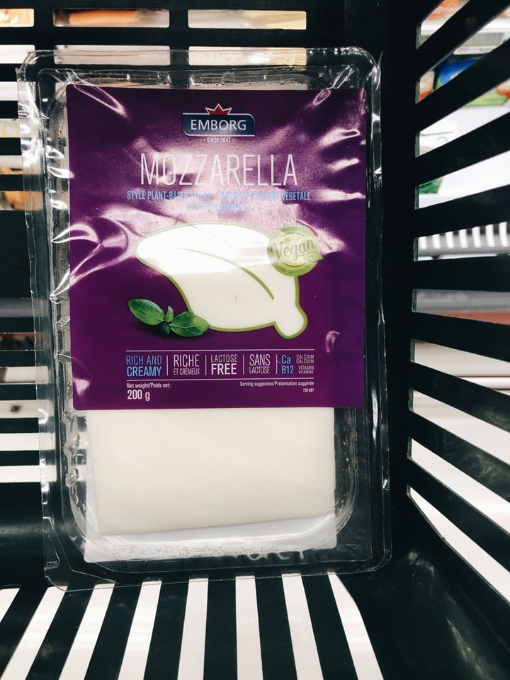 Mozzarella Cheese Slices Review abillion