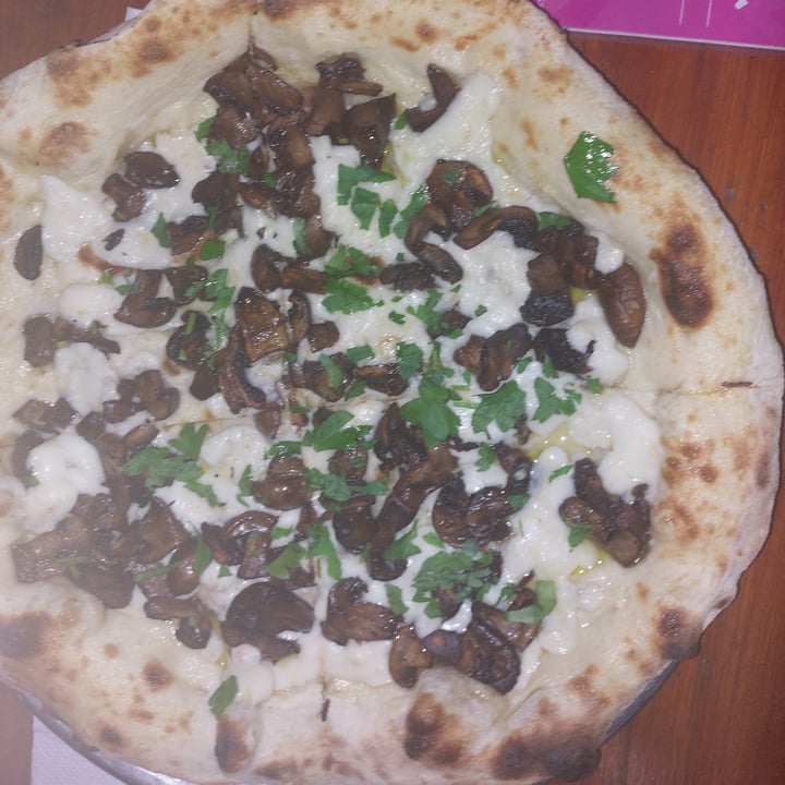 photo of Lado V Pizza De Hongos shared by @ilistevo21 on  23 Apr 2022 - review