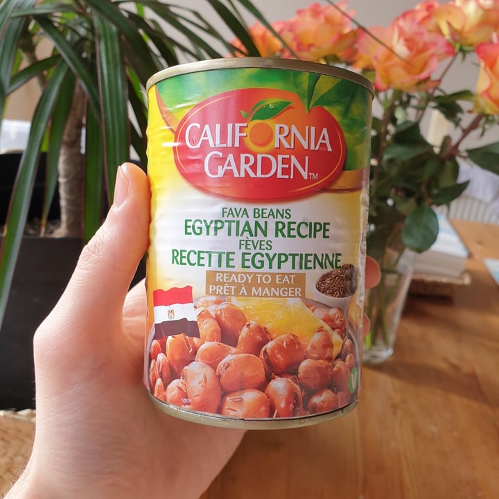 photo of California Garden Fava Beans shared by @peteri on  06 Feb 2022 - review