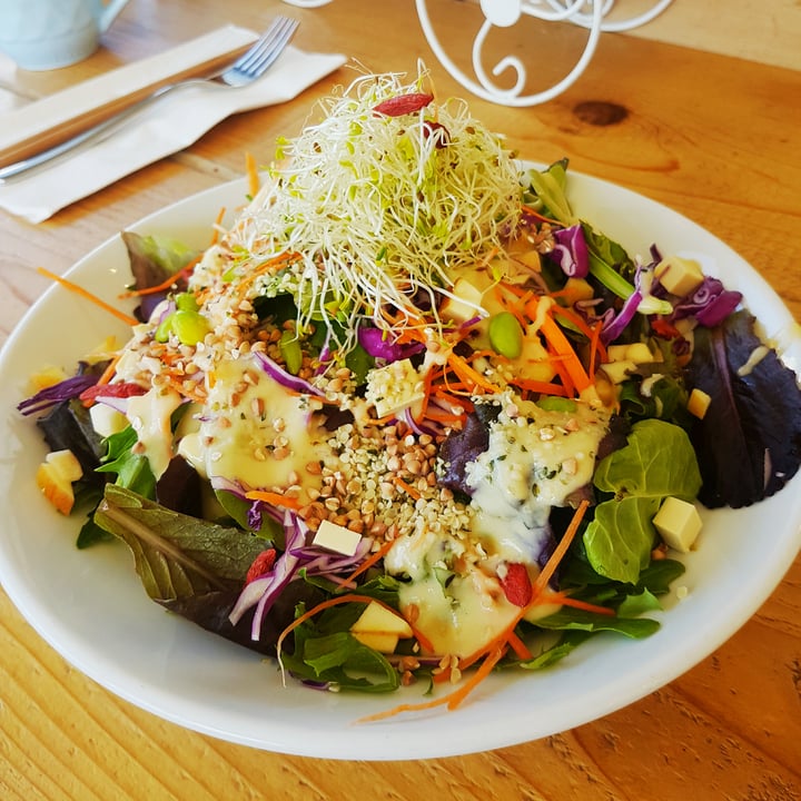 photo of The Workshop Vegetarian Café Buddha Bowl shared by @danni on  10 Jun 2018 - review