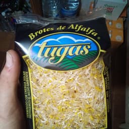 Tugas