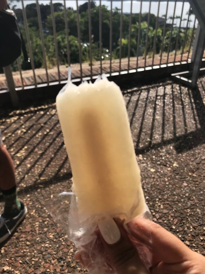 photo of Señor Paleta Guanabana shared by @greenapples on  28 Jan 2020 - review