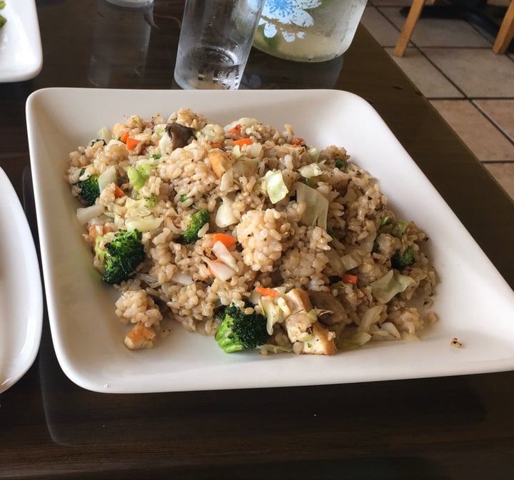 review photo of Simple Joy Vegetarian Cuisine Vegan Fried Rice shared by @veganrun7 on 20 Jan 2020 - review