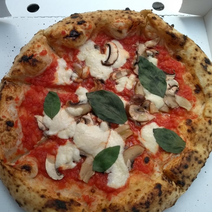 photo of La Stella Nera Pizza Funghi with cheese shared by @felice on  01 Aug 2021 - review