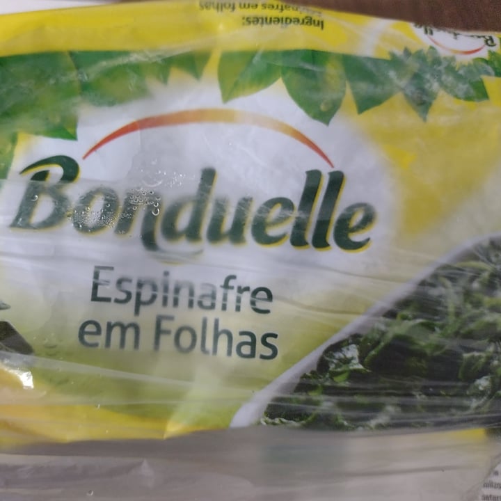 review photo of Bonduelle Espinafre congelado em forma de cubo shared by @nidavidaplena on 04 May 2022 - review