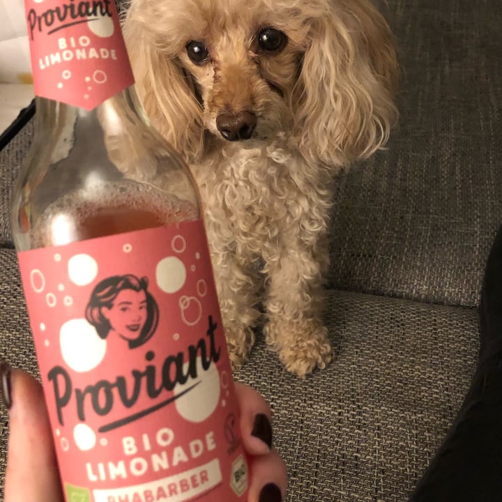 photo of Proviant Bio Limonade Rhabarber shared by @steffii on  02 Jul 2022 - review