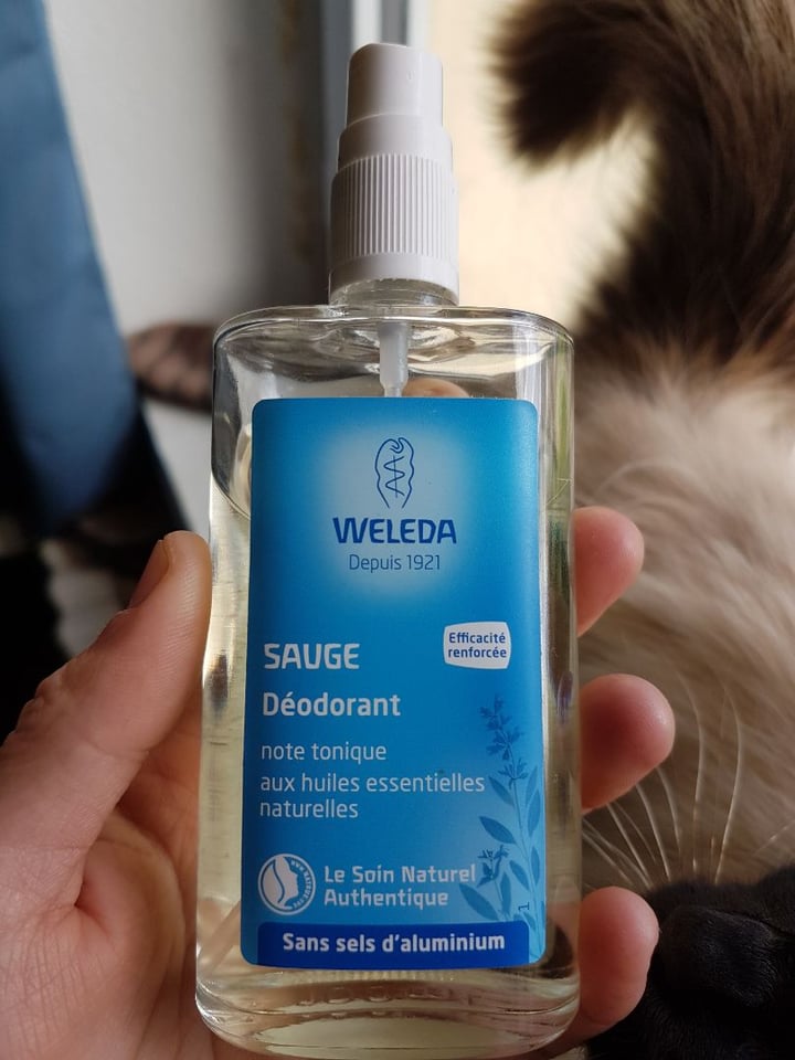 photo of Weleda Sauge Déodorant shared by @messagerlucie on  11 Mar 2020 - review