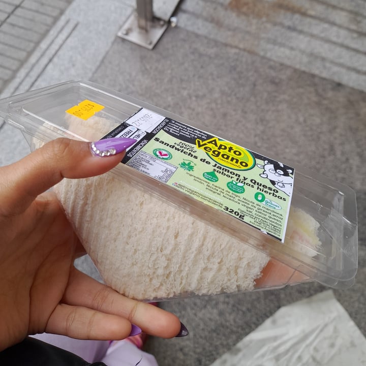 review photo of Apto Vegano Consciente Sándwich de Miga de Jamón Y Queso Sabor Finas Hierbas shared by @rochisalg on 15 Jun 2022 - review