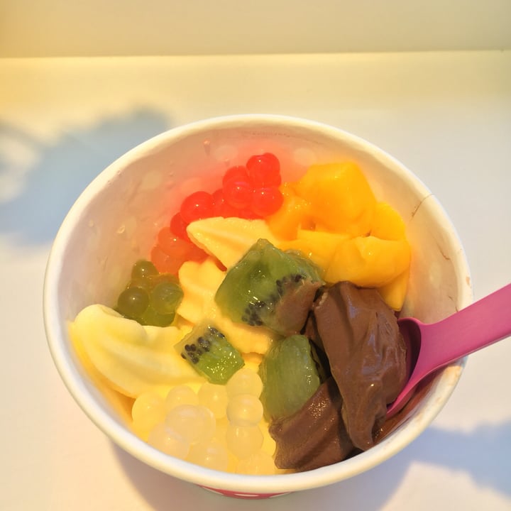 photo of Froyo Of Middletown Vegan Sorbet shared by @vegoutwes on  04 Nov 2018 - review