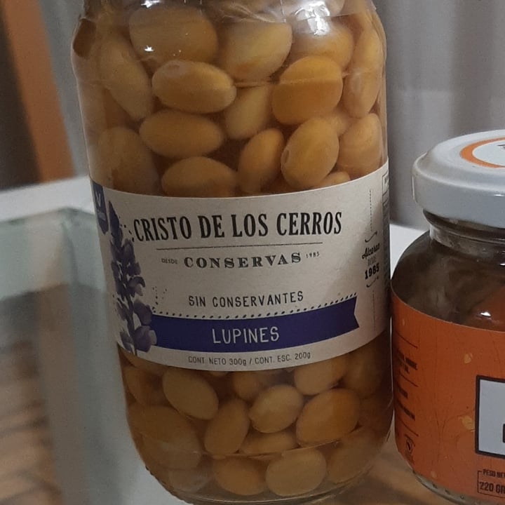 review photo of Cristo de los Cerros Lupines shared by @anitavolpe on 03 Sep 2021 - review