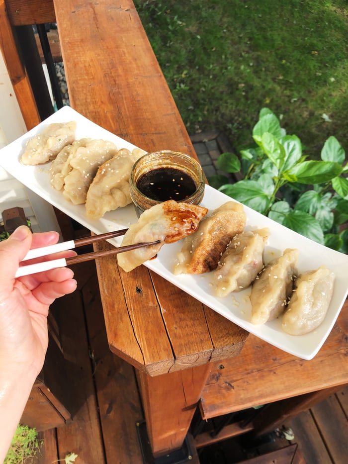 Vegan Pan Fried Dumplings