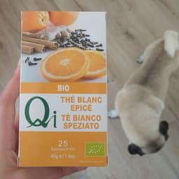 Qi