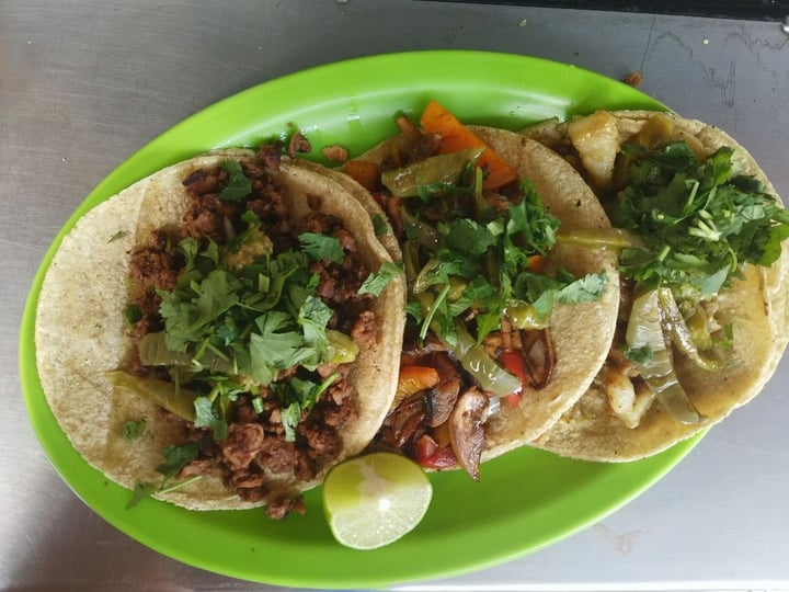 photo of Veganísimo Loncheria Vegana Tacos Orden De 3 shared by @eatwithzara on  19 Jan 2020 - review
