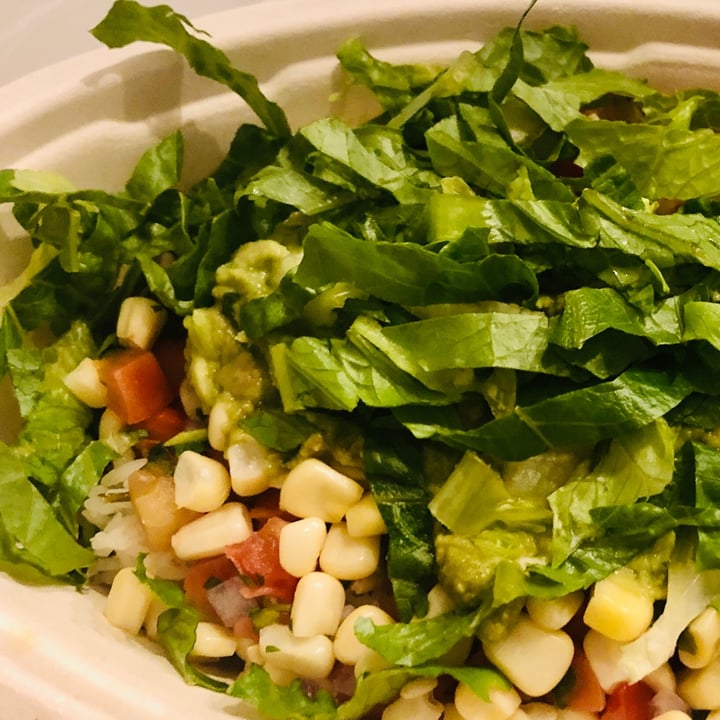 photo of Chipotle Mexican Grill Vegan Bowl shared by @av-egan on  12 Nov 2022 - review