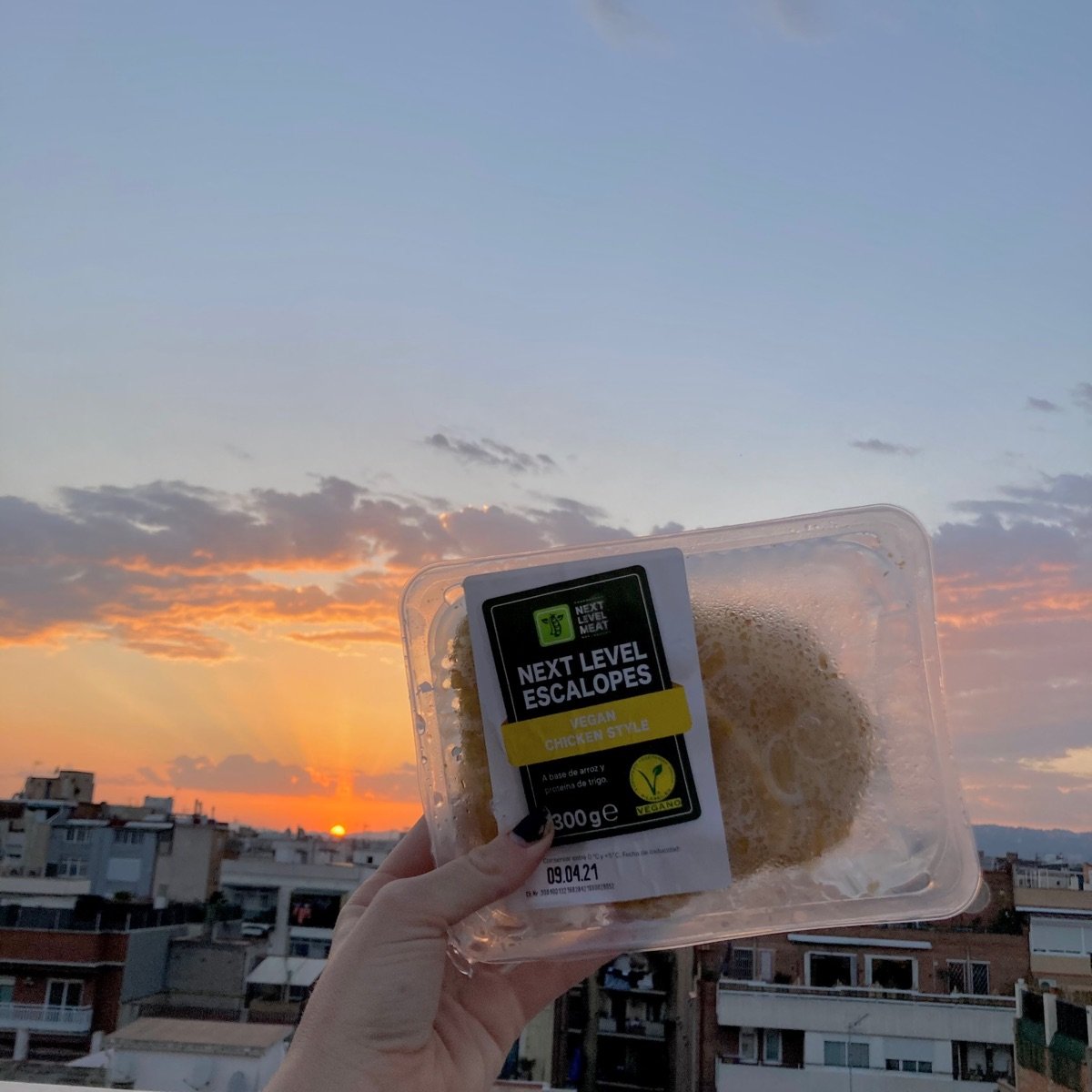 Next Level Meat Next Level Escalopes Vegan Chicken Style Reviews abillion
