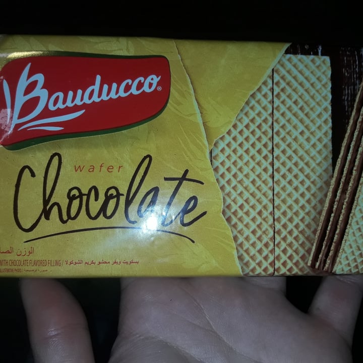 photo of Bauducco Obleas De Chocolate shared by @llourdes on  01 Aug 2021 - review