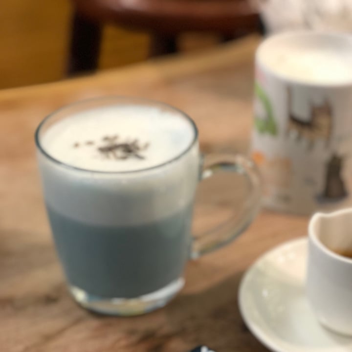 photo of Crazy Cat Café lavander milk shared by @nicole- on  25 Apr 2022 - review