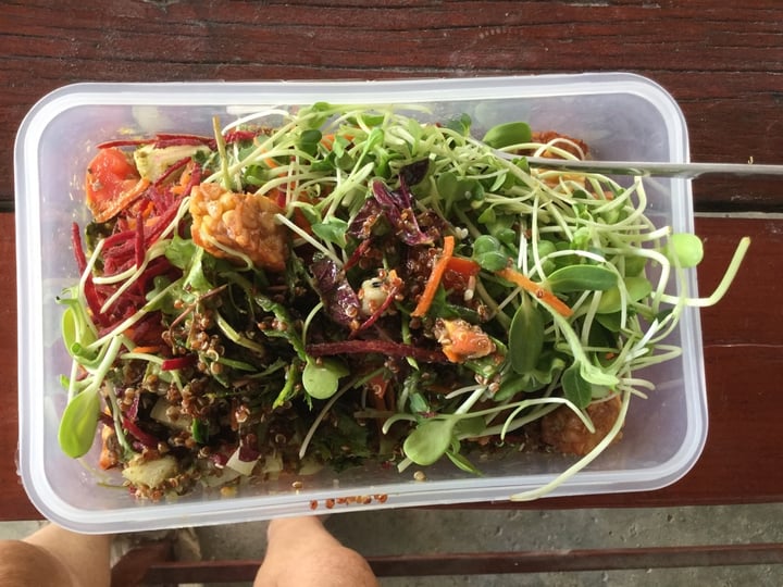 photo of Earth Tone vegetarian cafe and health shop Quinoa salad shared by @gillhibbitt on  21 Apr 2020 - review