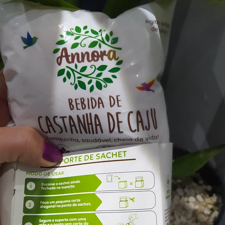 photo of Annora Bebida de Castanha de caju shared by @crismaii on  19 Apr 2022 - review