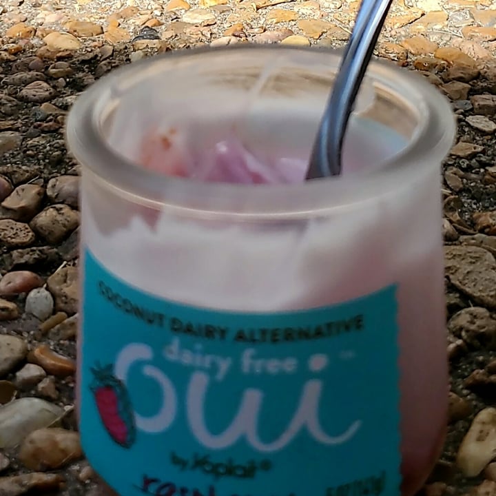 photo of Yoplait Dairy Free Oui Raspberry shared by @eriluc on  07 Nov 2020 - review