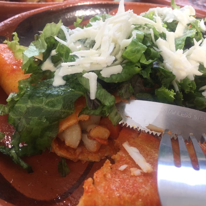 photo of Mictlan Antojitos Veganos Chiltlaxcalli enchiladas en salsa roja rellenas de papa y zanahoria shared by @zullybee on  27 Mar 2021 - review