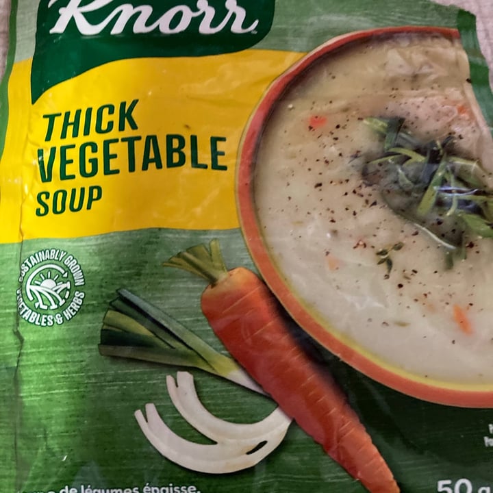 photo of Knorr Thick Vegetables Soup shared by @pushpavegan on  07 Apr 2021 - review
