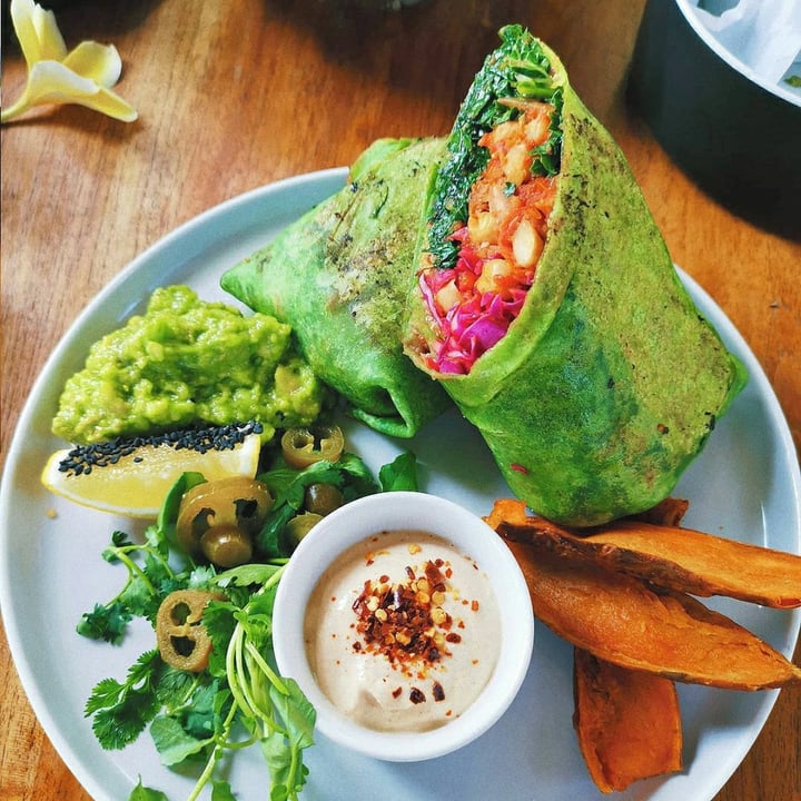 photo of The Shady Shack Vegan Boss Burrito shared by @humanimal on  07 Dec 2020 - review