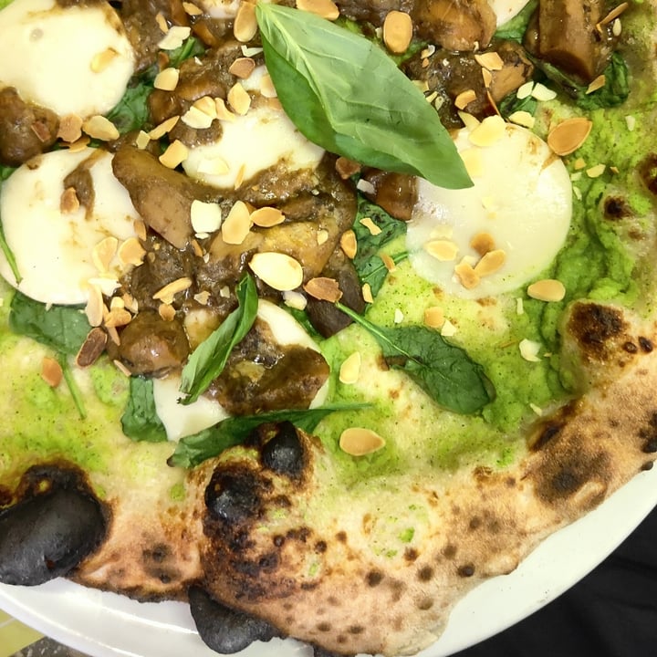 photo of Organic Pizza and Food Pizza con funghi porcini mozzarella vegana e mandorle shared by @alynina on  09 Dec 2022 - review