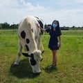 karenhsu @karenhsu profile image