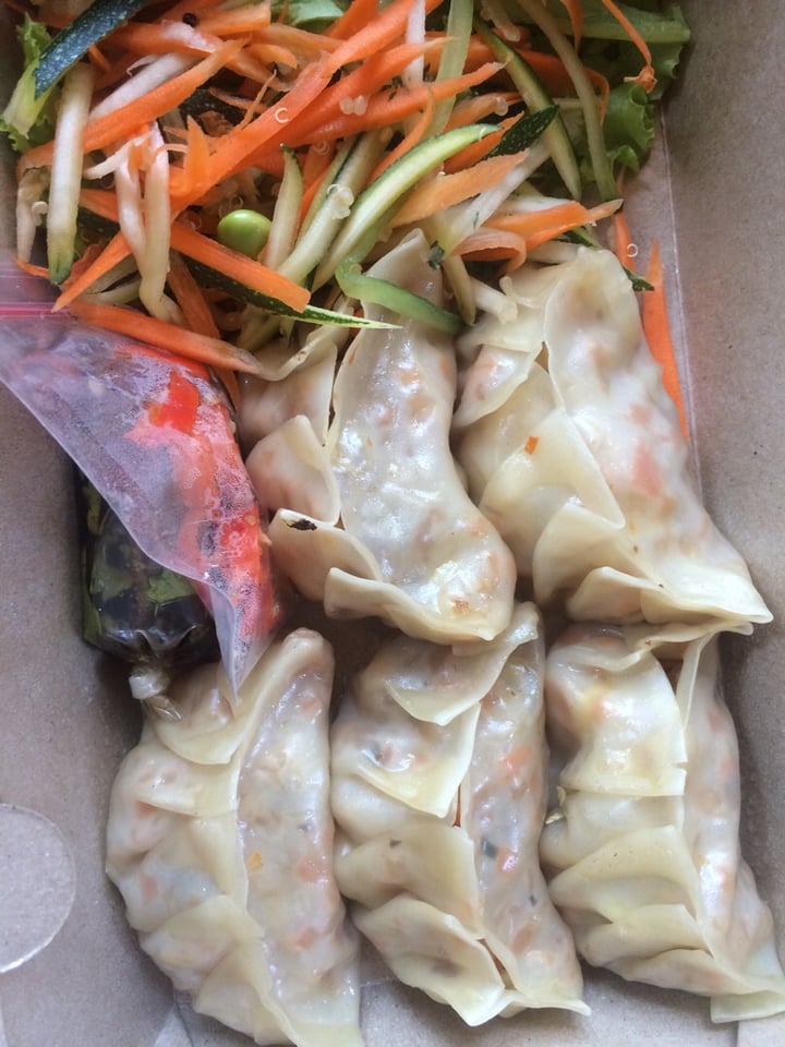 photo of Bodhi Leaf Eatery Gyoza - vegan dumplings shared by @vegan-alien on  13 Apr 2020 - review