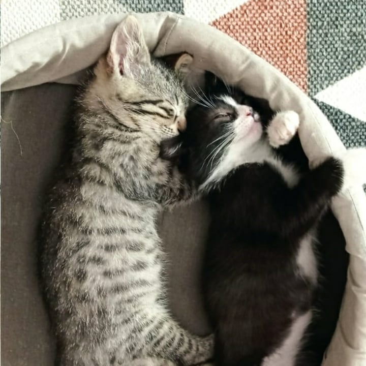 review photo shared by @mikutheclown on 09 Jun 2022 - post