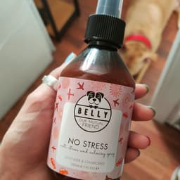 Belly Dog