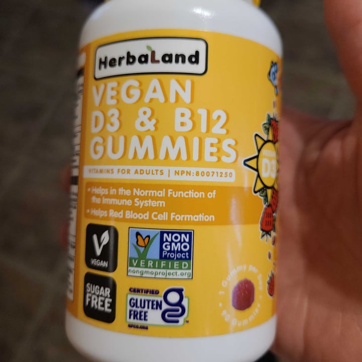 review photo of HerbaLand Vegan D3 and B12 Gummies for Adults (Sugar-free) shared by @leo on 13 Nov 2021 - review