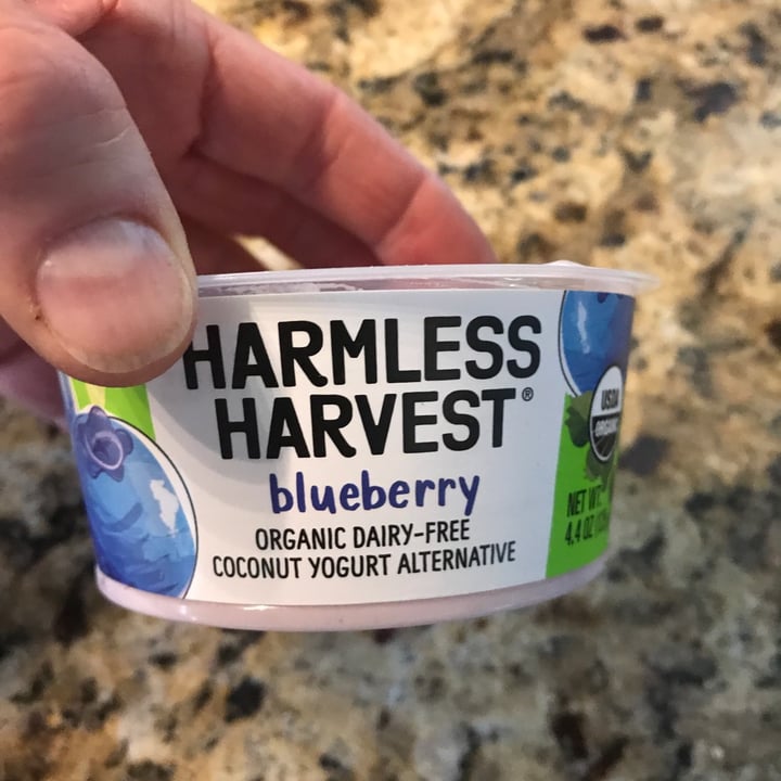photo of Harmless Harvest Blueberry coconut yoghurt shared by @mnvegan on  05 Nov 2020 - review